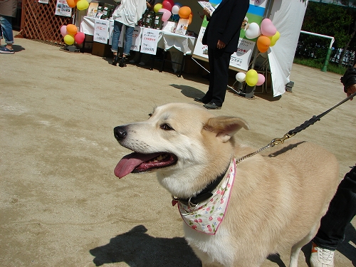 DSC08219.jpg