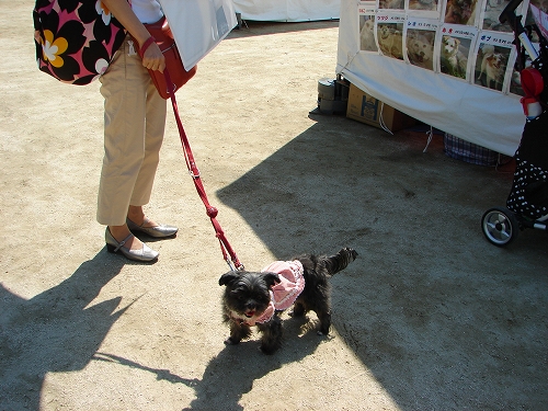 DSC08224.jpg