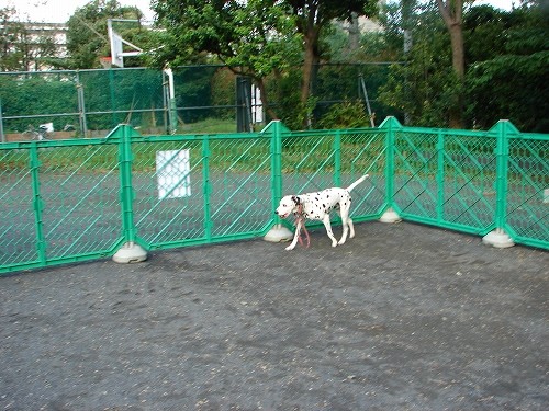 DSC08240.jpg