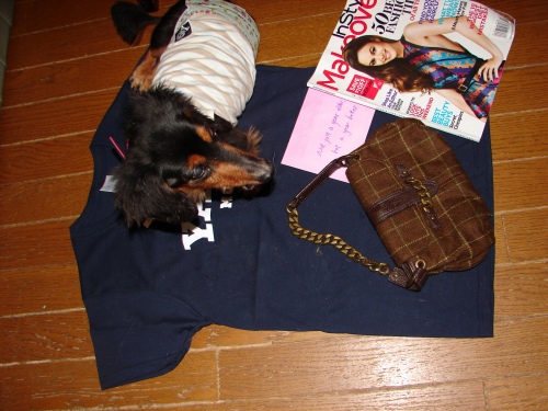DSC08281.jpg