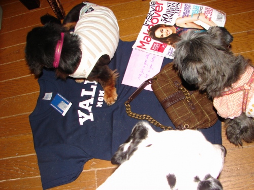 DSC08282.jpg