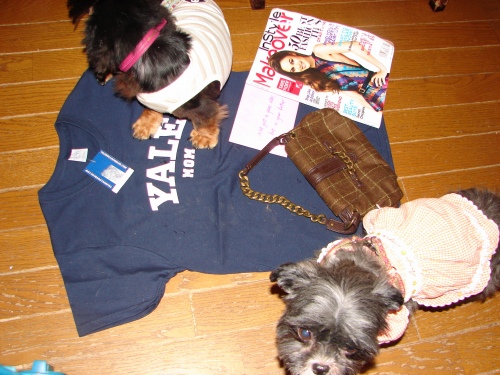 DSC08283.jpg