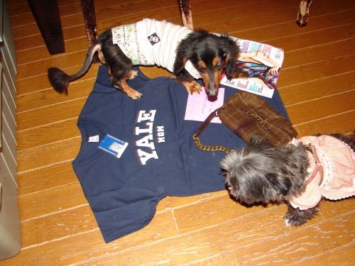 DSC08285.jpg