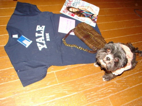DSC08286.jpg