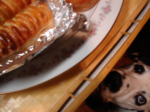 DSC08294.jpg