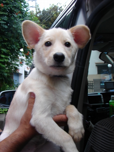 DSC08297.jpg