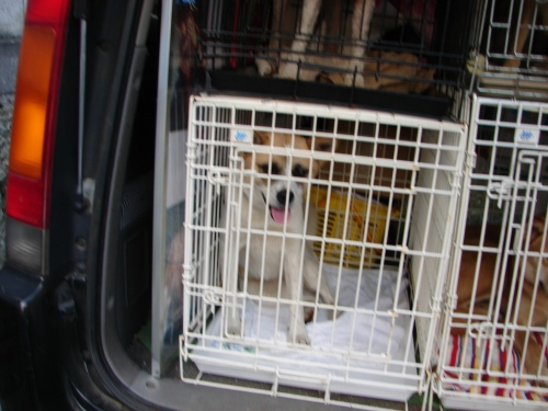 DSC08307.jpg