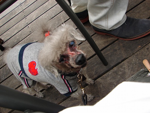 DSC08505.jpg