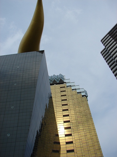 DSC08527.jpg
