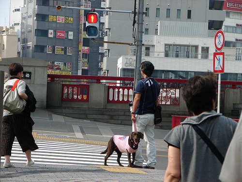 DSC08530.jpg