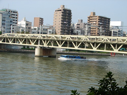 DSC08538.jpg