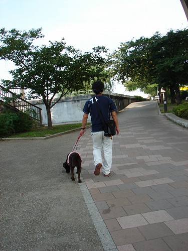 DSC08541.jpg