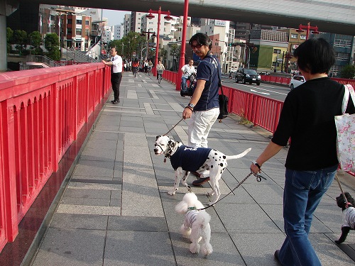 DSC08562.jpg