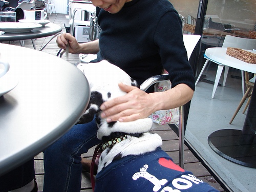 DSC08580.jpg