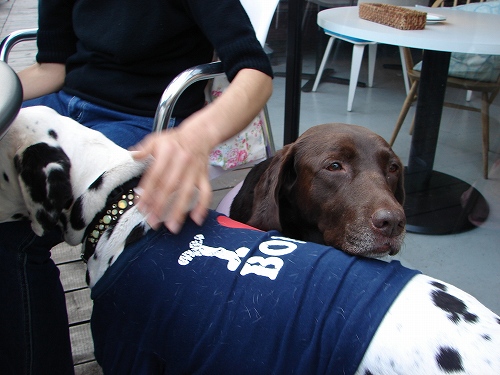 DSC08583.jpg
