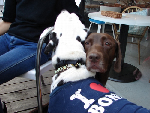 DSC08585.jpg