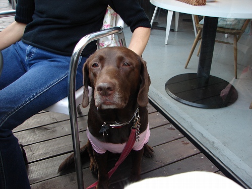 DSC08587.jpg