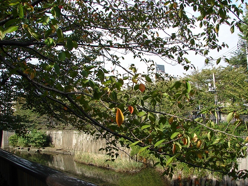 DSC08652.jpg