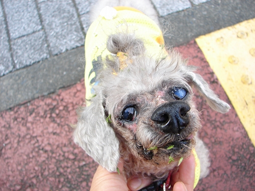 DSC08694.jpg