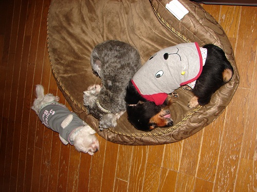 DSC08722.jpg