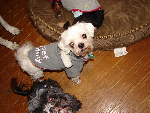 DSC08727.jpg