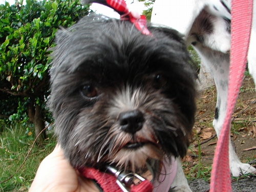 DSC08769.jpg