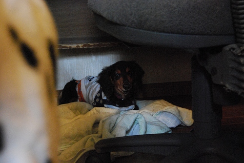 DSC_0014_20111004195014.jpg