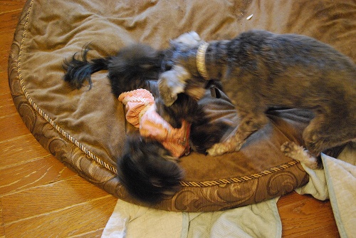 DSC_0018_20111006172509.jpg