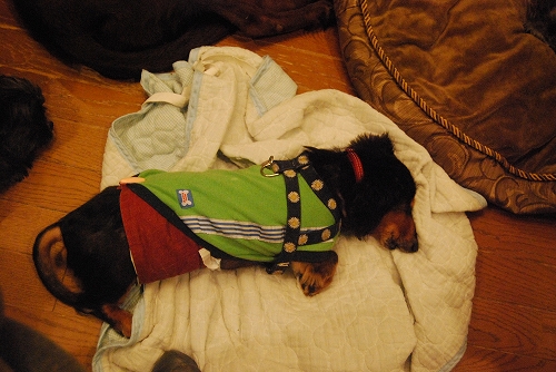DSC_0032_20110919211627.jpg