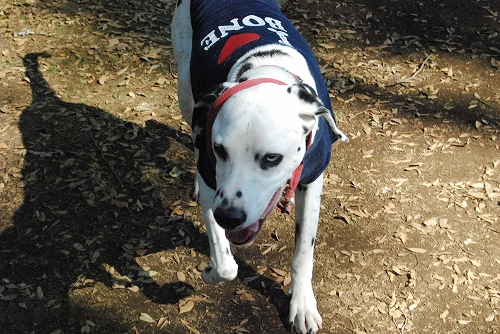 DSC_0086_20111005123303.jpg