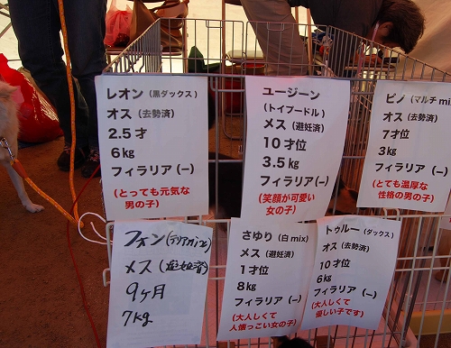 DSC_0100_20110925224849.jpg