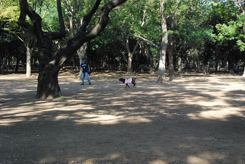 DSC_0115_20111005112706.jpg