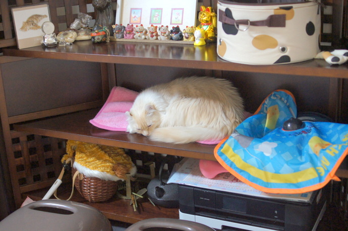 DSC05880.jpg