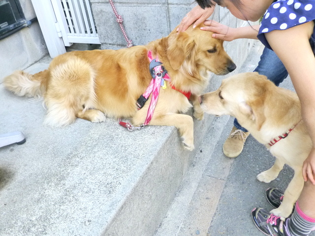 P1010982.jpg