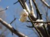 20130223s.jpg