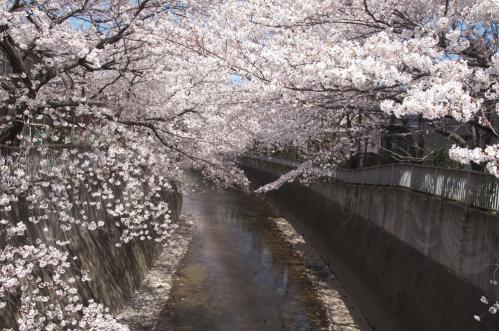 神田川