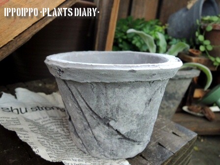 moss pot①
