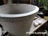 moss pot⑤