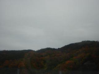 高速バスからの紅葉風景♪