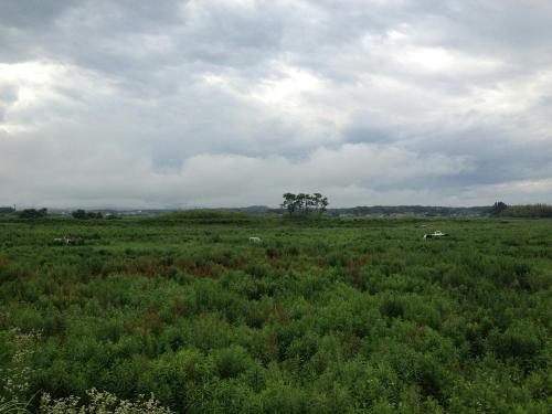 03_20130714180614.jpg
