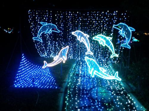 8_20111007143504.jpg