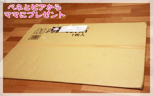 プレゼント (1)