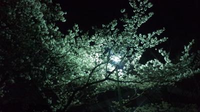 20120407.jpg