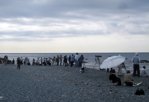 140913ao2.jpg