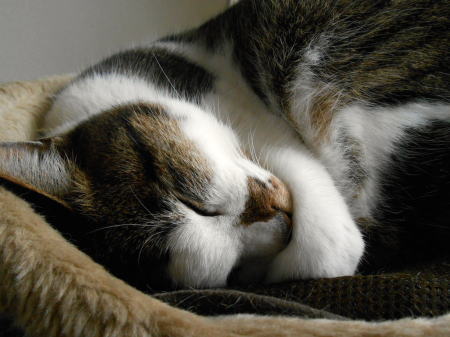 131204-1.jpg