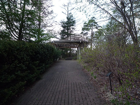110514_3orizume-SA.jpg