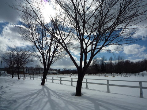 140222_3umakkopark-iwate.jpg