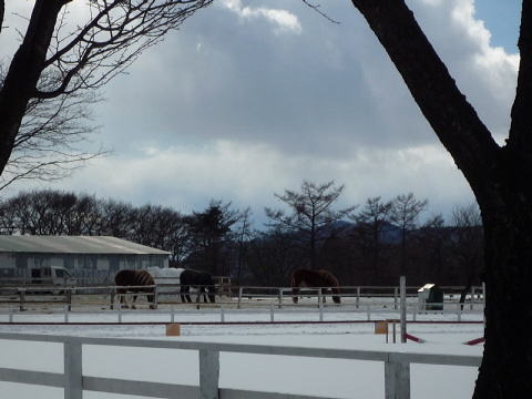 140222_4umakkopark-iwate.jpg