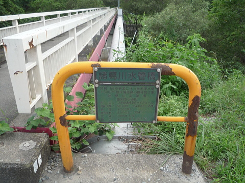 P1040459.jpg