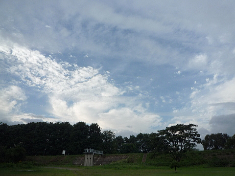 P1040466.jpg